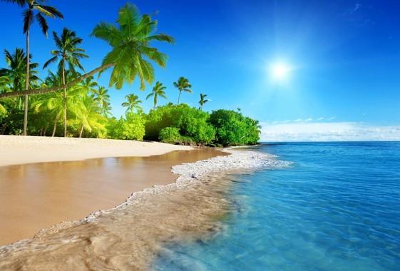 蔚蓝的大海,阳光,棕榈树,沙滩,海岸,海洋,天空,5k风景壁纸