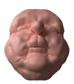 jellygummies-奇奇怪怪有点恶心的人脸 沙雕动图gif