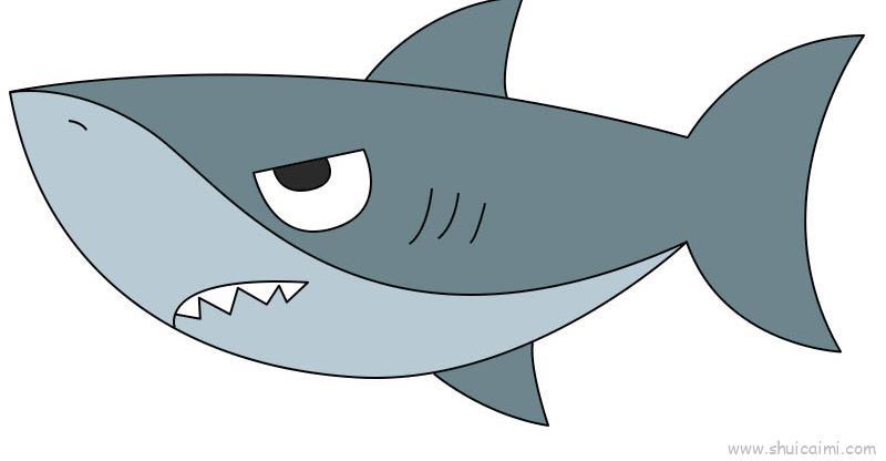 大鲨鱼儿童画怎么画大鲨鱼简笔画图片大全