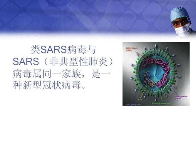 类sars病毒与 sars(非典型性肺炎) 病毒属同一家族,是一 种新型冠状