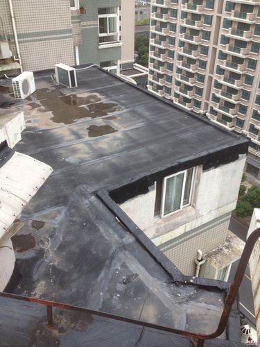 图片说明:楼顶能够看到搭建的违法建筑.图片来源:徐驰 摄