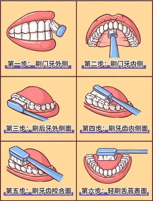 正确的刷牙方式