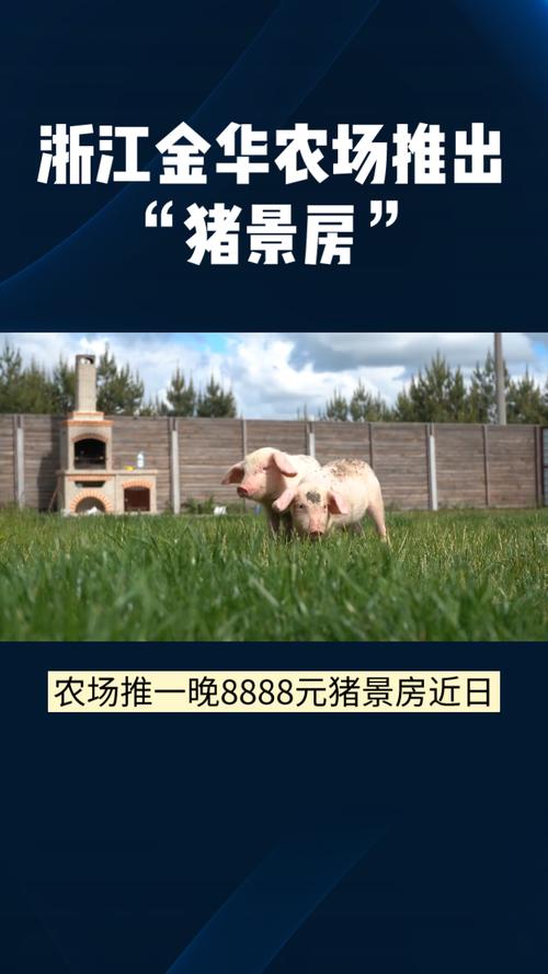 浙江金华农场推出猪景房