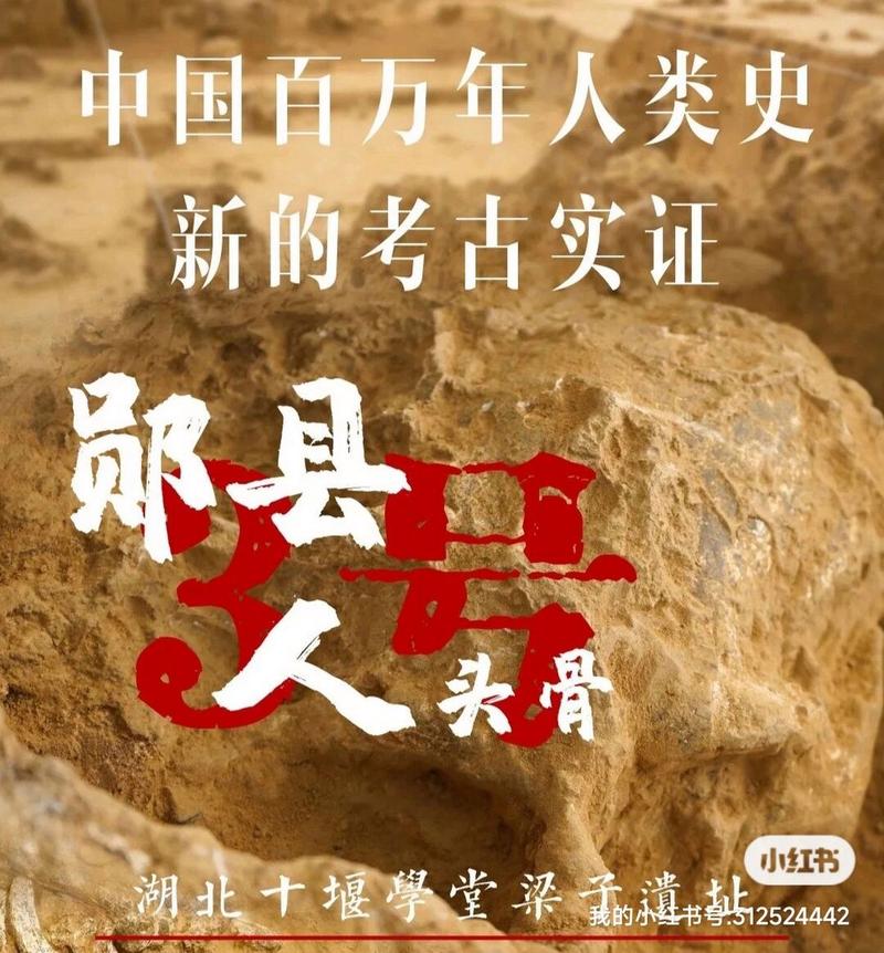 2024文物,考古,博物馆考研热点备考(2) 湖北郧县人遗址的发掘理念和