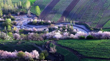 清明旅游地推荐一新疆伊犁杏花沟,最美的时间怎能辜负最美的花期