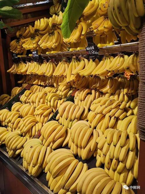 香蕉的订货存储,保鲜控损及营销操作技巧