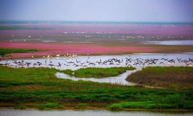 鄱阳湖景区位于江西省上饶市鄱阳县双港镇鄱阳湖国家湿地公园