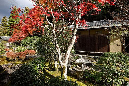 日本京都南禅寺在乡村灰瓦房屋后面有茂盛的竹林