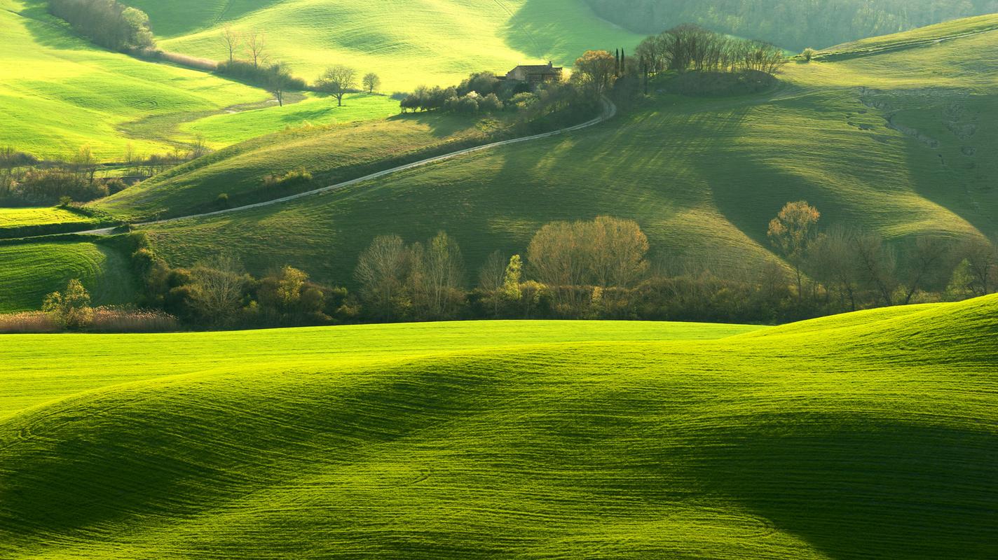 高清绿色护眼自然风景图片桌面壁纸
