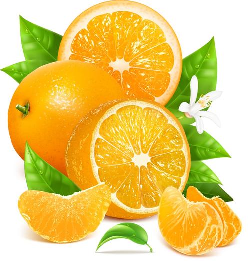 卡通橙子矢量素材下载(图片id:420104)_-蔬菜水果-矢量素材_ 集图网