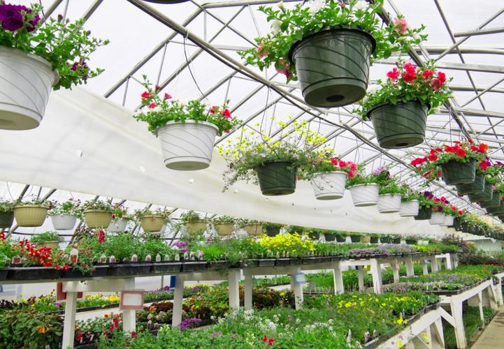 在花卉养殖行业植物过冬,大棚温室保温升温一直以来都是困扰种植人员