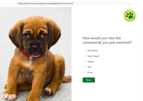 survey with puppy image
