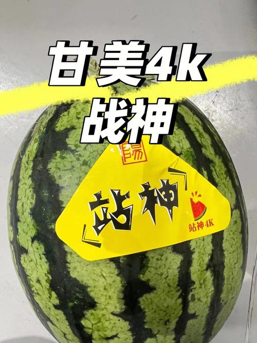 正宗江苏东台的甘美4k战神西瓜 这个夏天最优秀的一个瓜93 懒人瓜