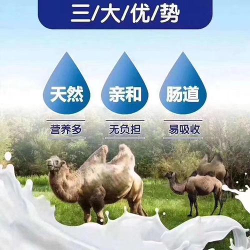 为什么人们都越来越喜欢沙漠白金骆驼奶粉了