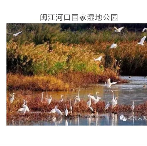 闽江河口湿地国家公园好玩吗