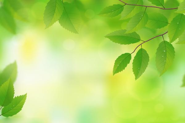 享学ppt网站提供幻灯片背景图片免费下载;暖暖的阳光透过绿色的枝芽