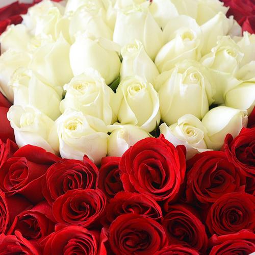 【爱你到老】云南空运a级白玫瑰33支 红玫瑰66支 白色特种纸 灰色特种