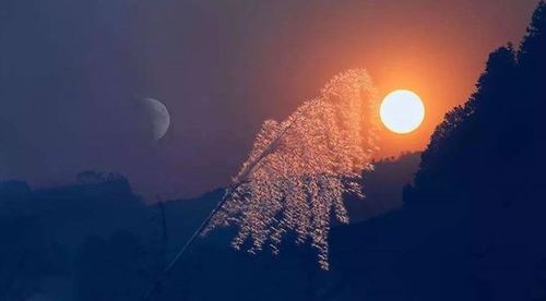 太阳和月亮同时升起的景象到底是怎么回事?