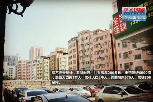 深圳红灯区2017一条街