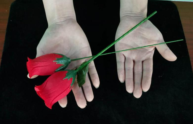 魔术教程:空手变出两朵玫瑰花,非常有趣!