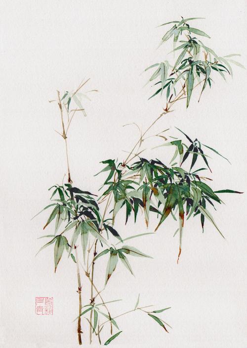水彩国风 竹