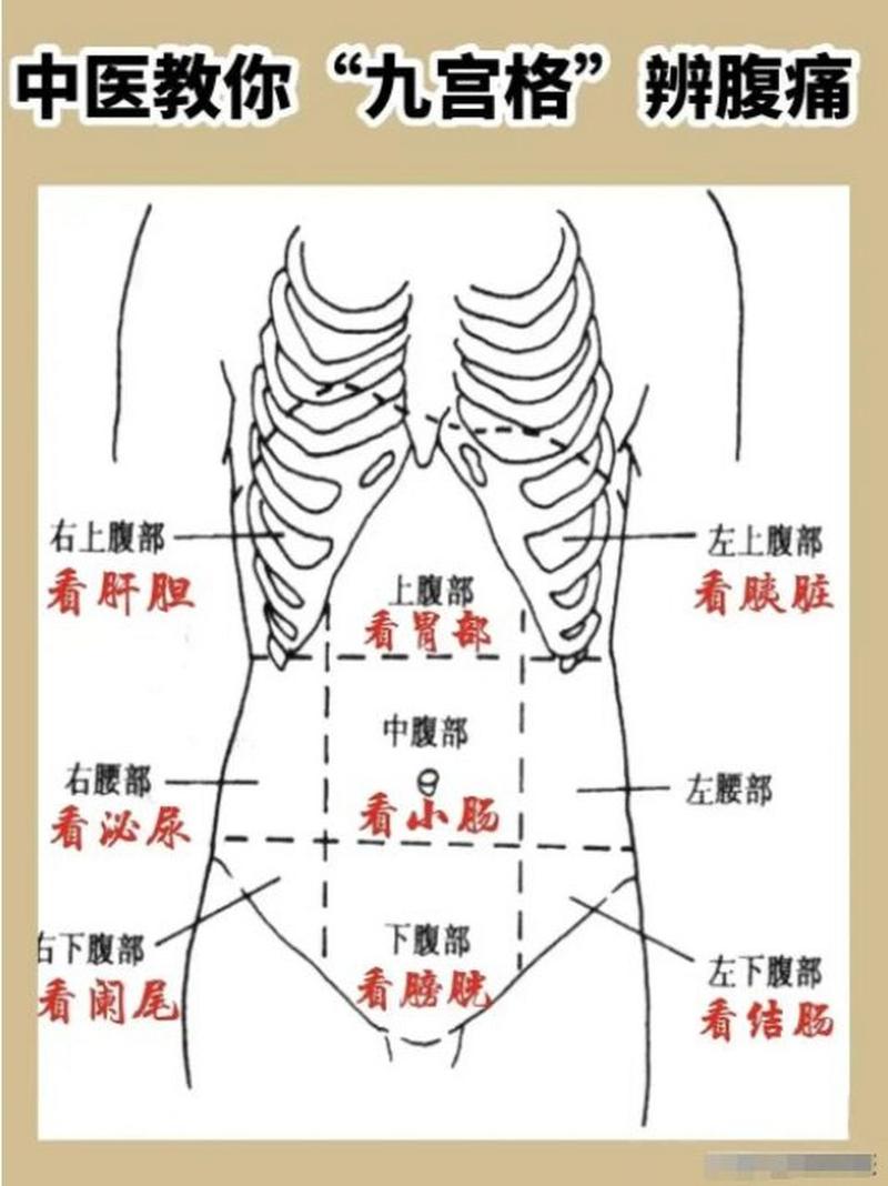 肚脐左下方疼痛即左下腹疼痛,左下腹包含的脏器有乙状结肠,左侧输尿