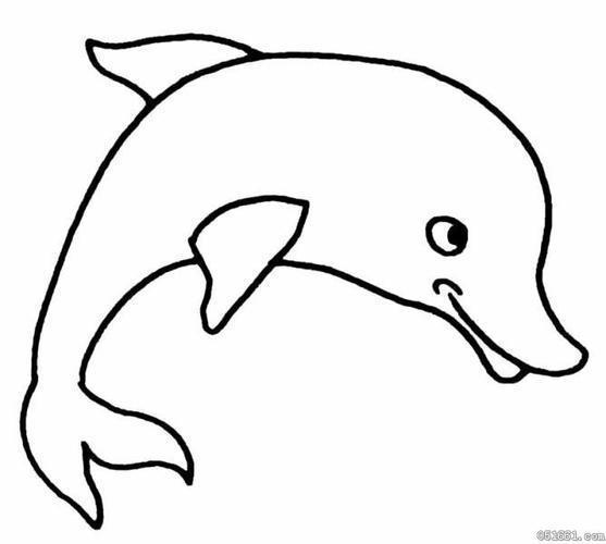 海洋中的动物的简笔画集