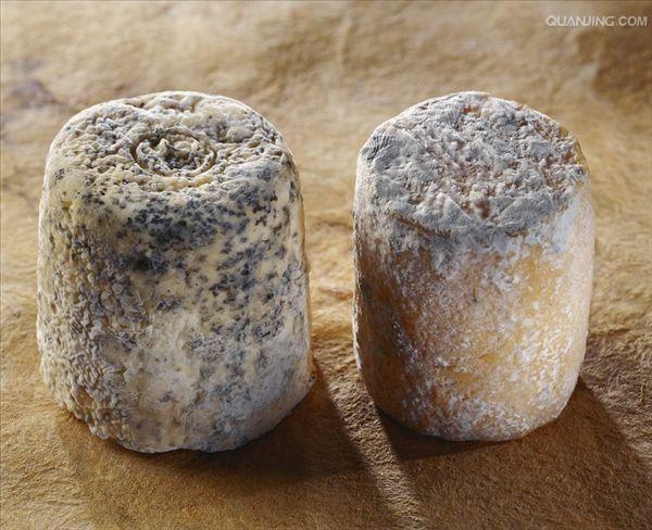 奶酪是什么微生物发酵的