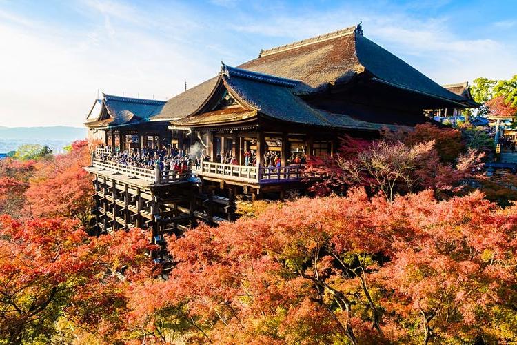 日本旅游:京都最值得做的 15 件事