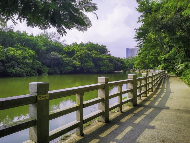 深圳东湖公园开放了吗