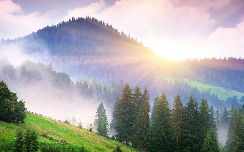 美丽的早晨自然,山,雾,黎明,树木,阳光壁纸高清原图查看