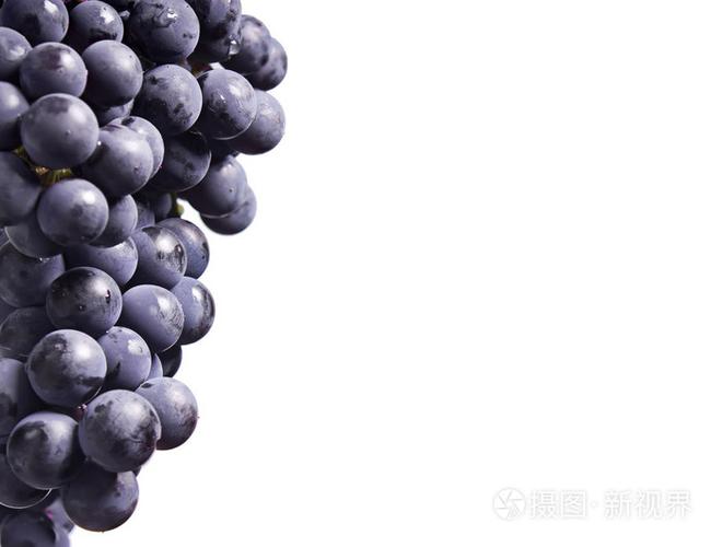 葡萄grape的名词复数