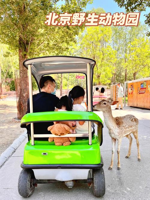 自从疫情以来,#北京野生动物园  也二十多刷了,又能看动物,还有吃有