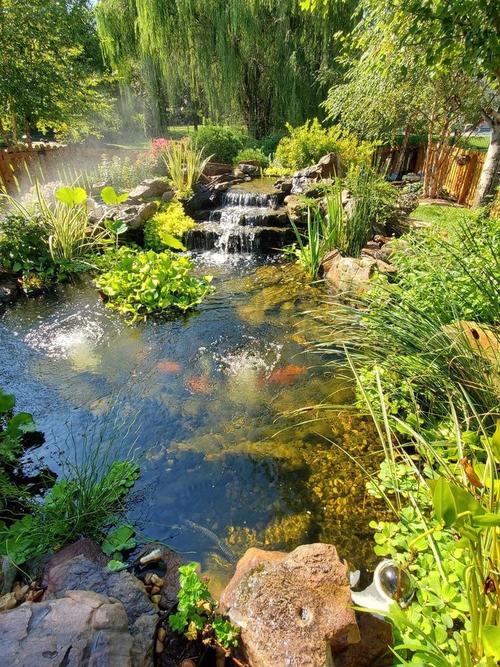 庭院景观生态水池