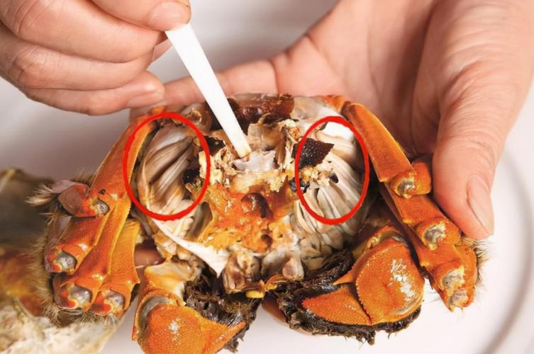 原创吃螃蟹时,懂的人从来不吃这7个部位,不仅难吃,还有害