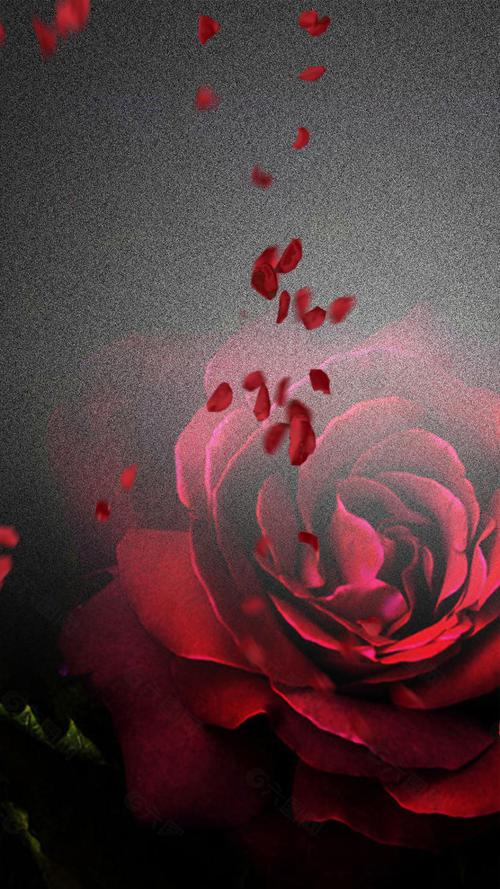 唯美红色玫瑰情人节h5背景素材