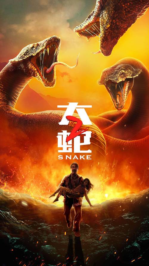 电影大蛇2海报