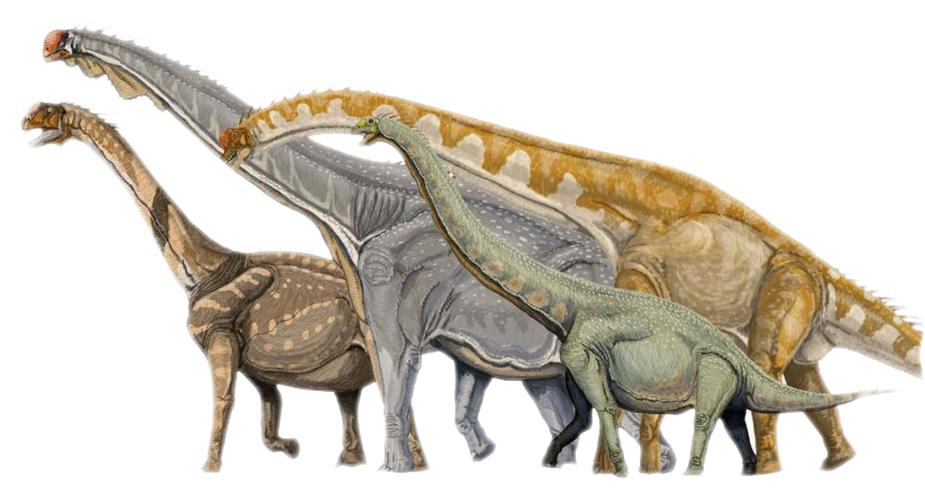 恐龙大战视频真实白垩纪