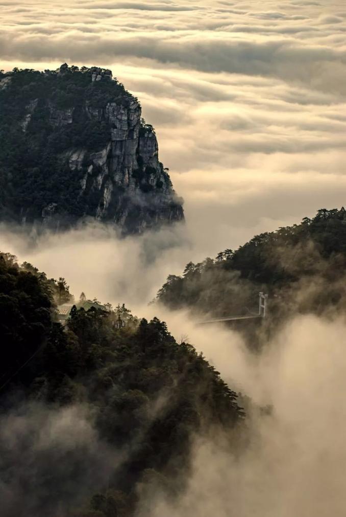 近日的庐山云雾美的就像一幅山水画卷