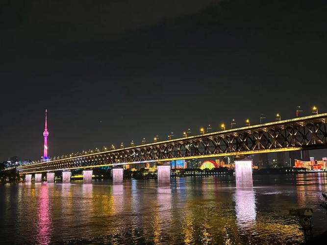 武汉长江大桥#鹦鹉洲长江大桥 #地标建筑 #江边夜景 #城市 - 抖音
