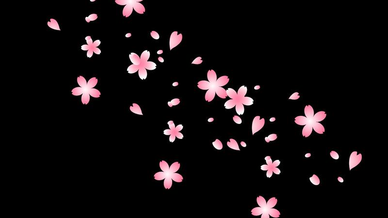春天花瓣樱花飘落漂浮卡通粉色带通道mov视频动态素材