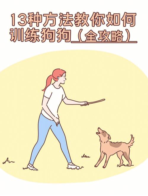13种方法教你如何训练狗狗全攻略