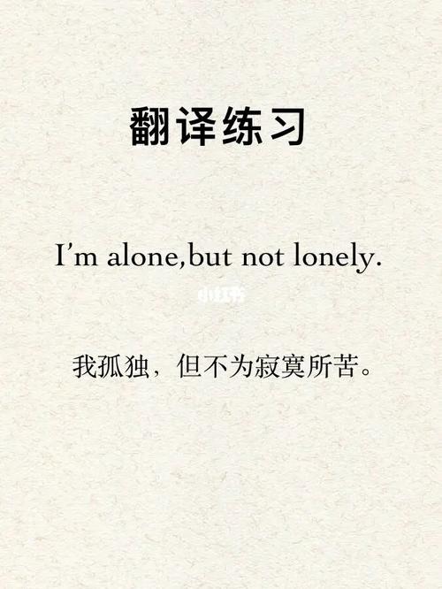 英译汉你孤独的时候会觉得寂寞吗