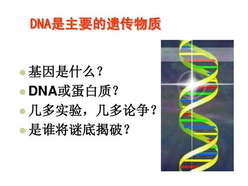 dna是主要的遗传物质ppt