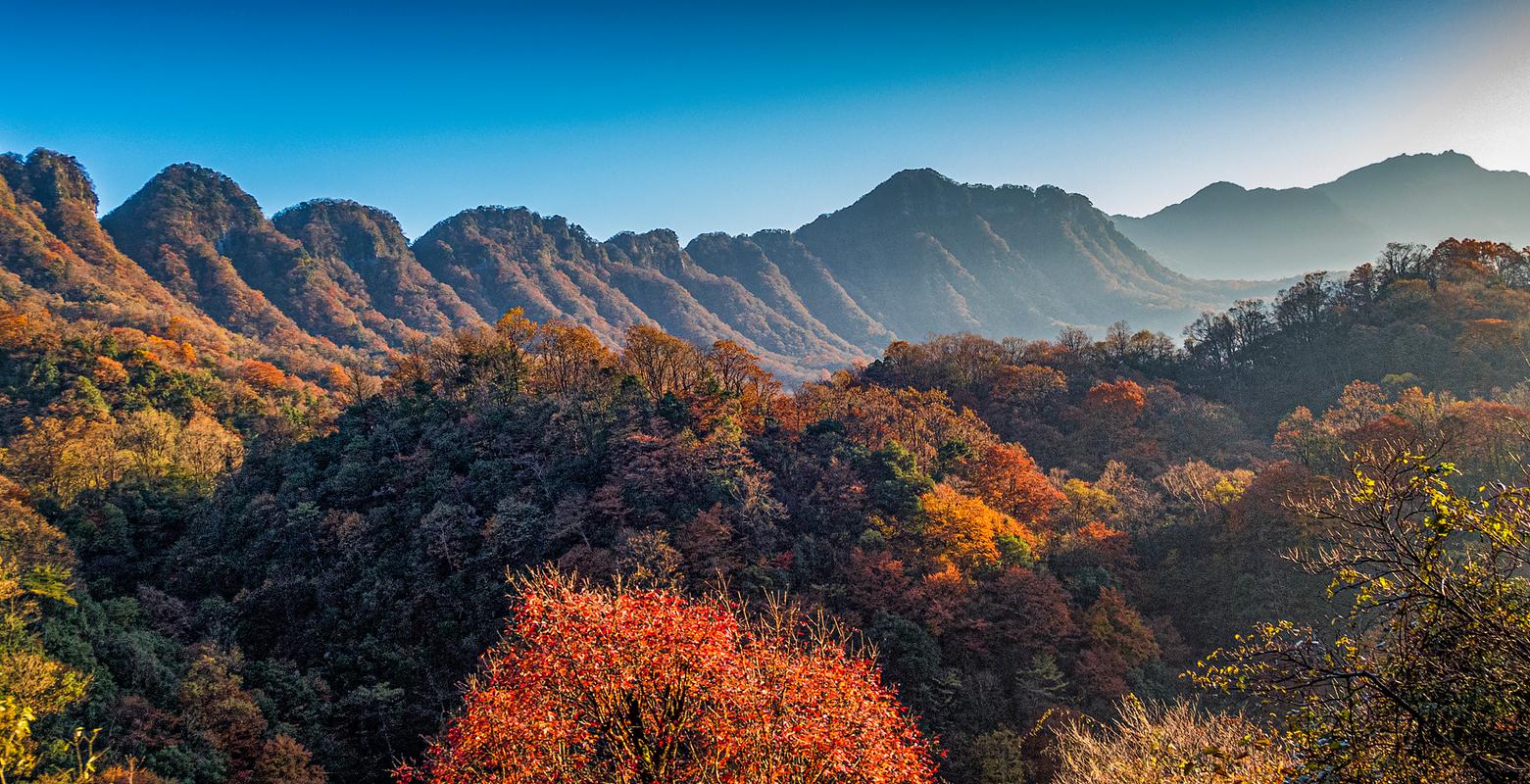 光雾山景区位于四川省巴中市南江县,用漫山遍野的红叶征服了世人.