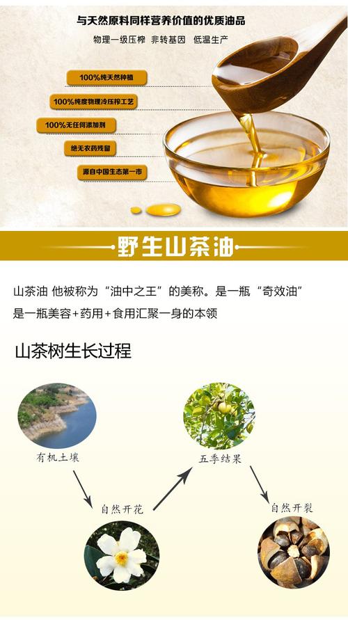 茶油的5大惊人功效,让你爱上茶油!(茶油的营养成分)-52线报网
