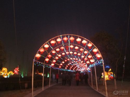 阜阳市第五届生态园春节游园灯会