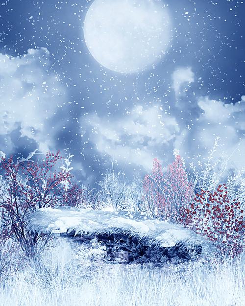 搜图123提供独家原创浪漫雪景背景下载,此素材图片已被下载4次,被收藏