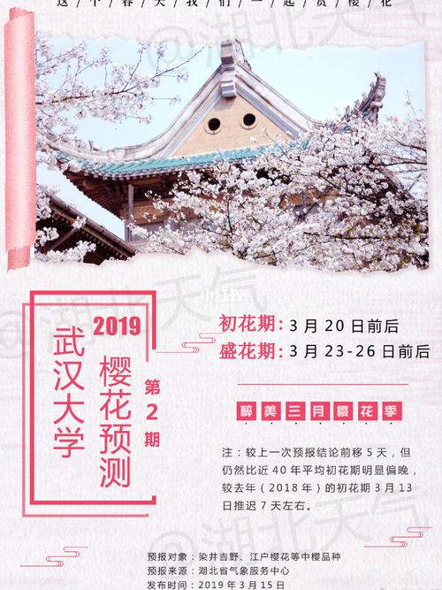 最新消息92152019武汉大学樱花预约通道18日开启6015赏樱路线