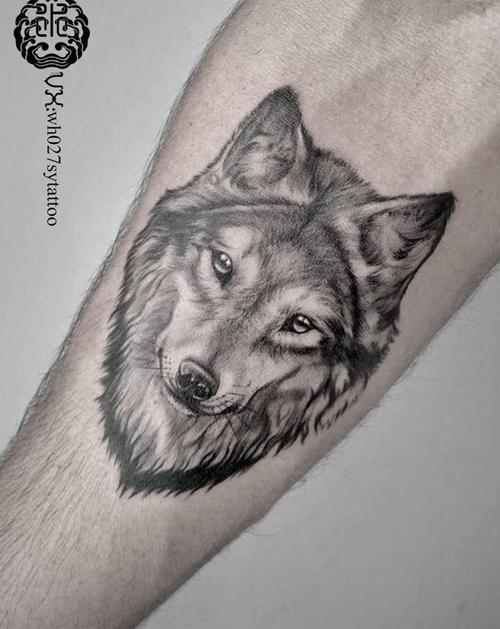 狼纹身图片_手臂欧美写实狼纹身图案